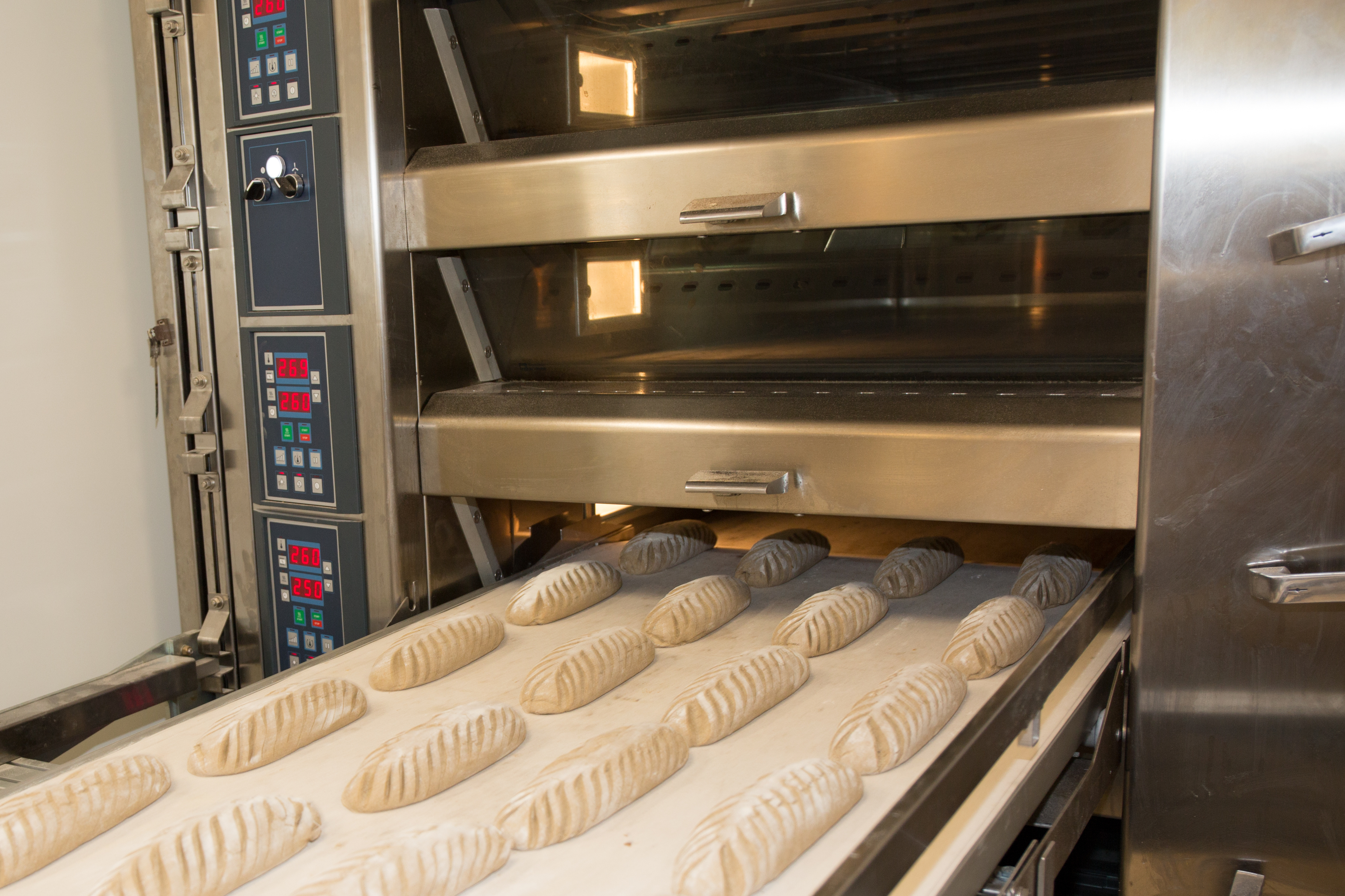 Continuous Process Oven
