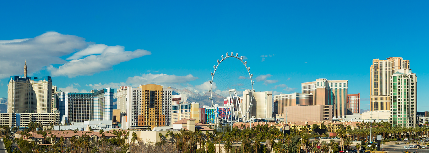 Las Vegas Nevada Skyline