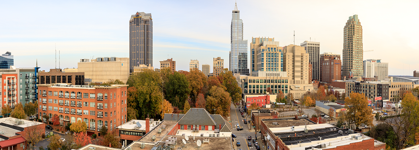 Raliegh, NC Skyline