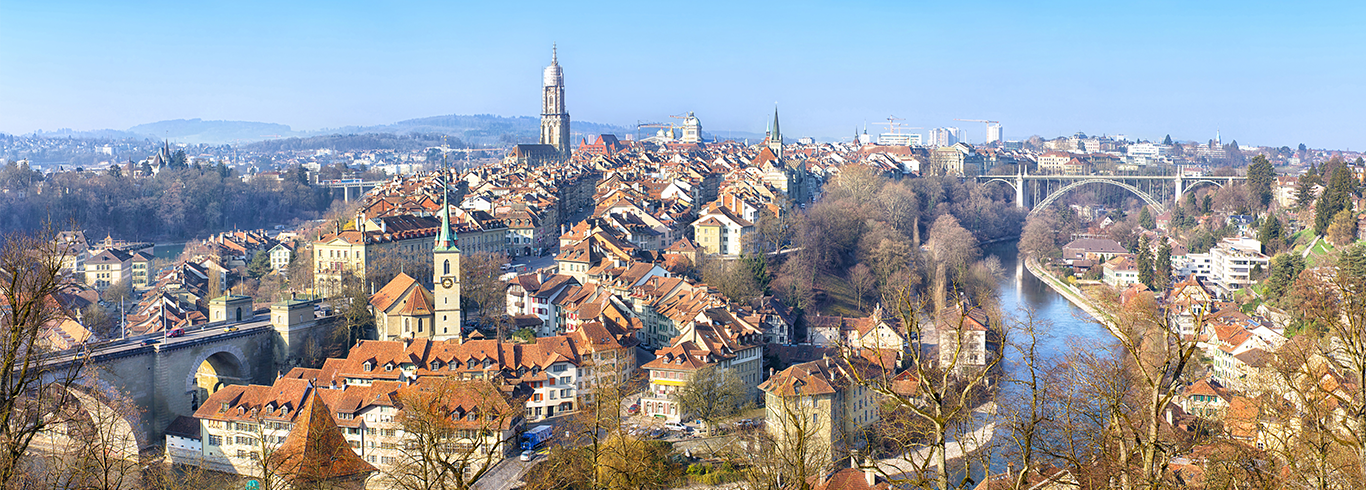 Switzerland Skyline