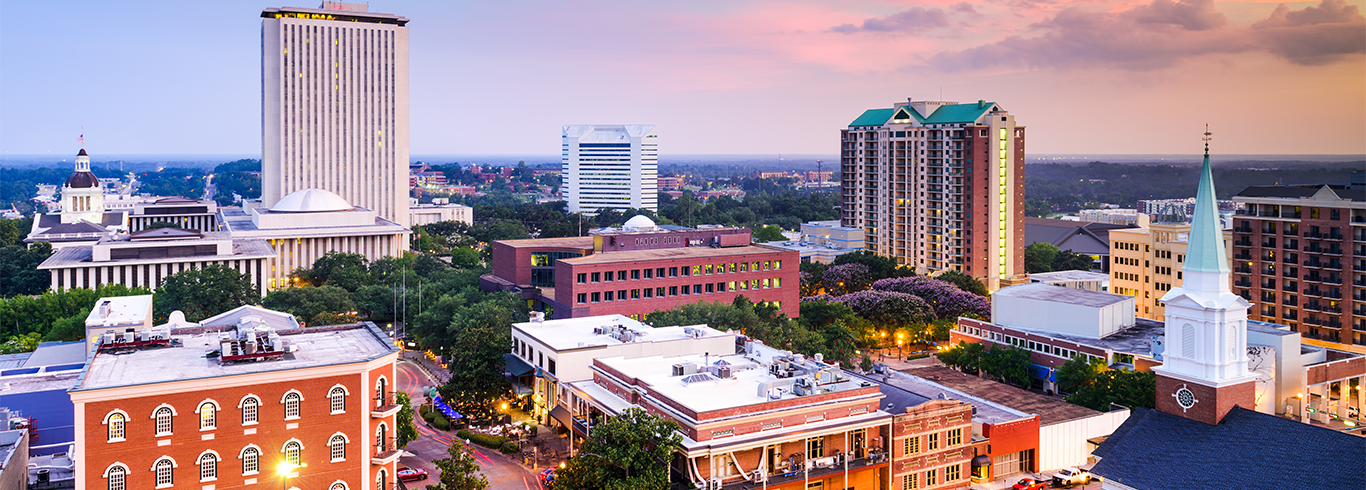 Tallahassee Florida Skyline