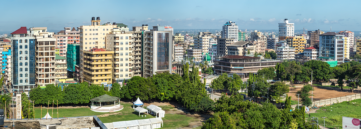 Tanzania Skyline