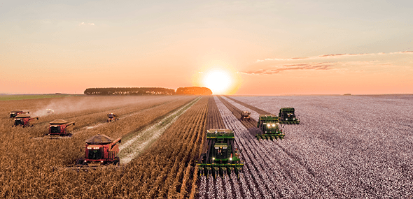 Several Agriculture combines in a field with a sunrise in the backgound