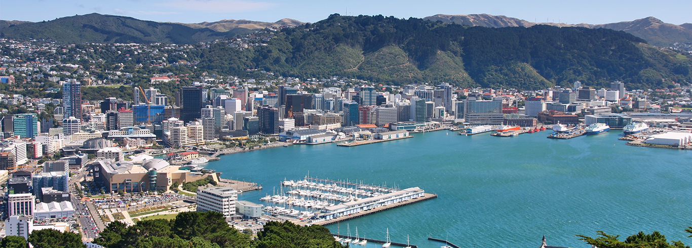 New Zealand Skyline