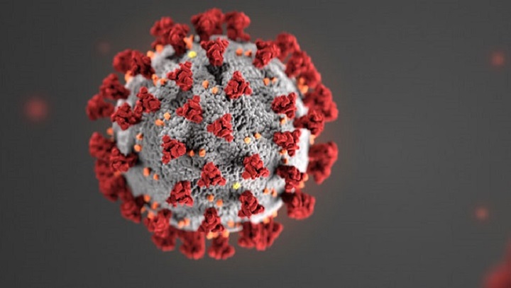 microscopic image of the coronavirus