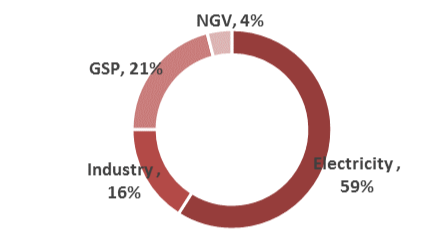 Electricity 59%, GSP 21%, Industry 16%, NGV 4%