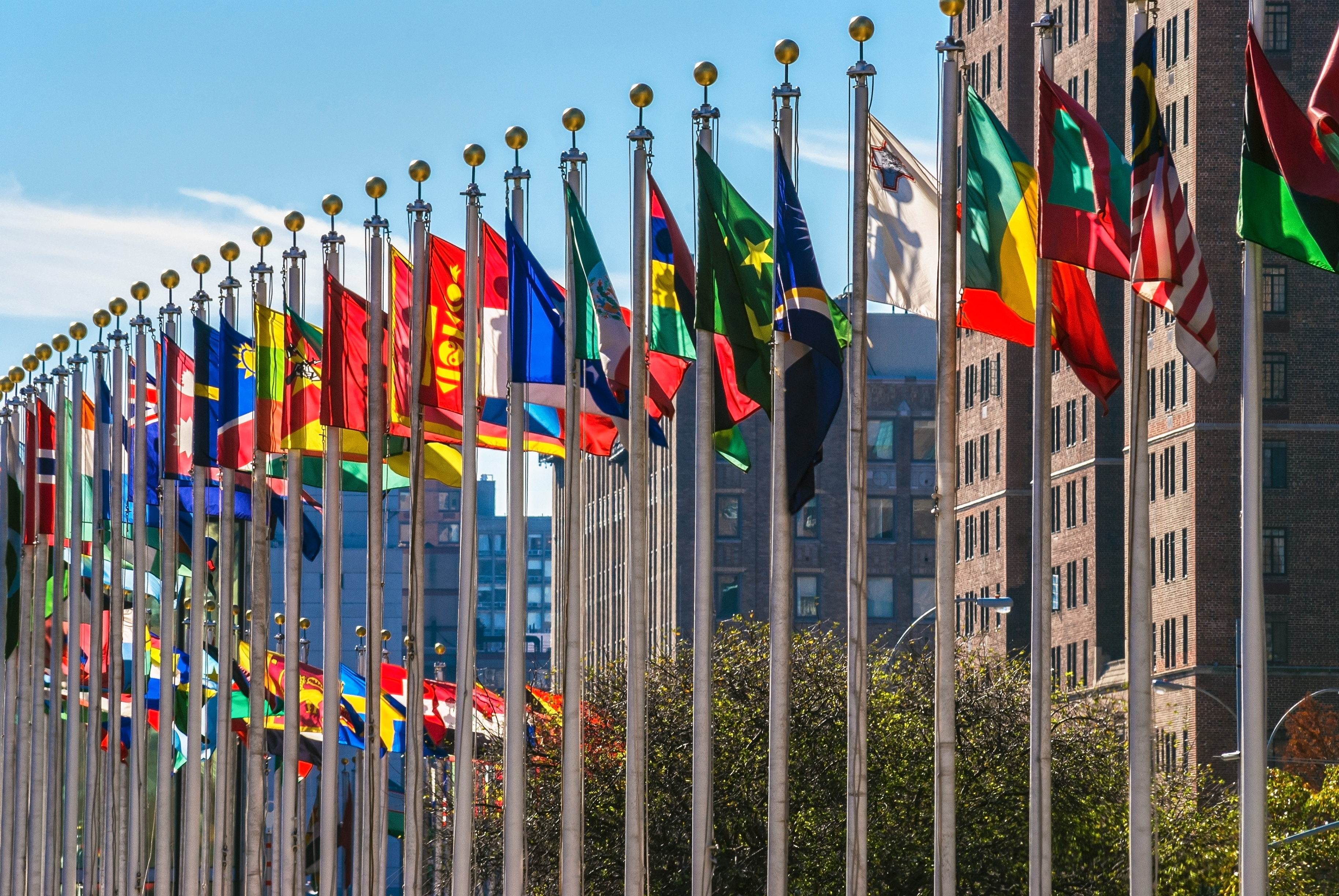 Flags of the UN