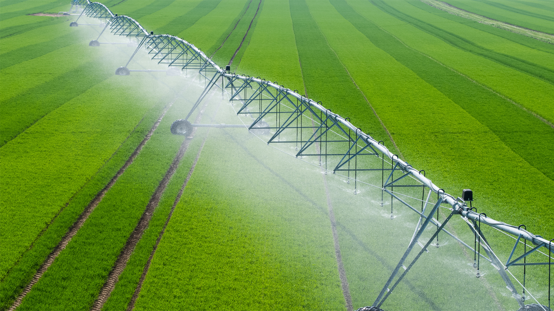 Green field with watering technology