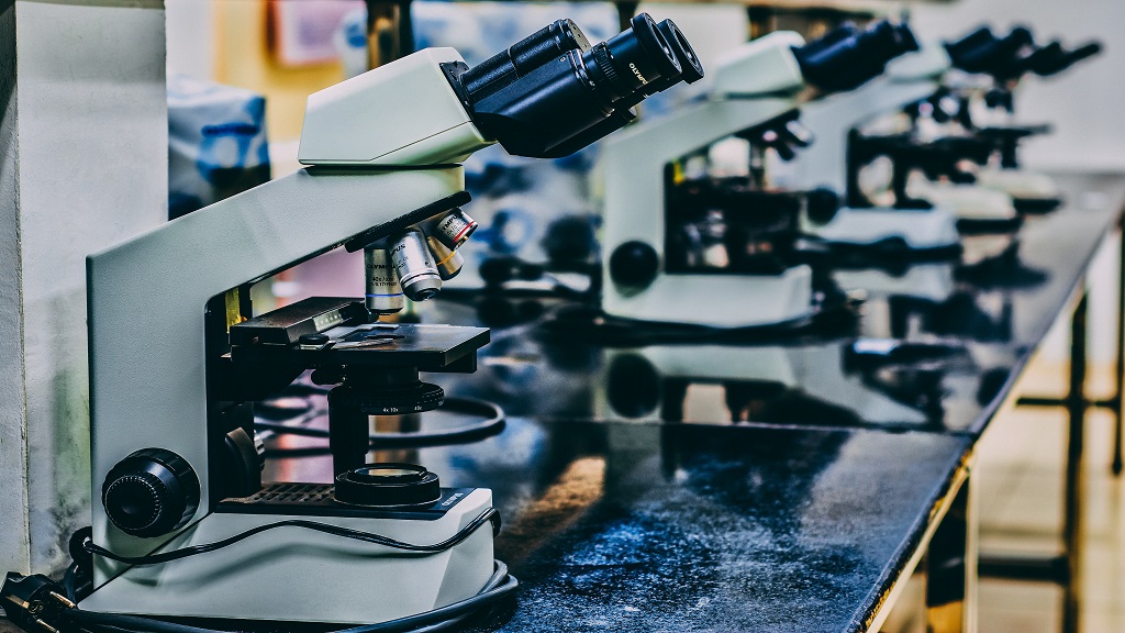 Row of microscopes in a research laboratory. 