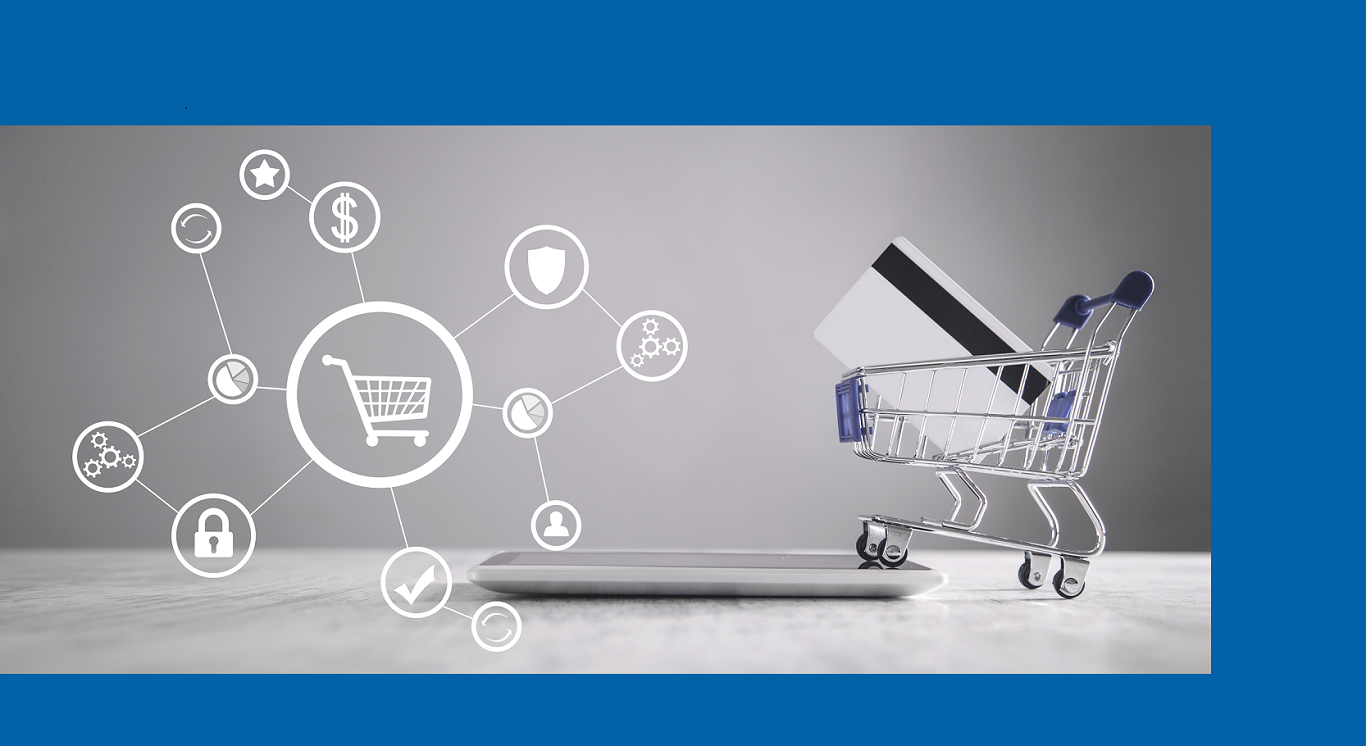 eCommerce payments requires the use of software service providers