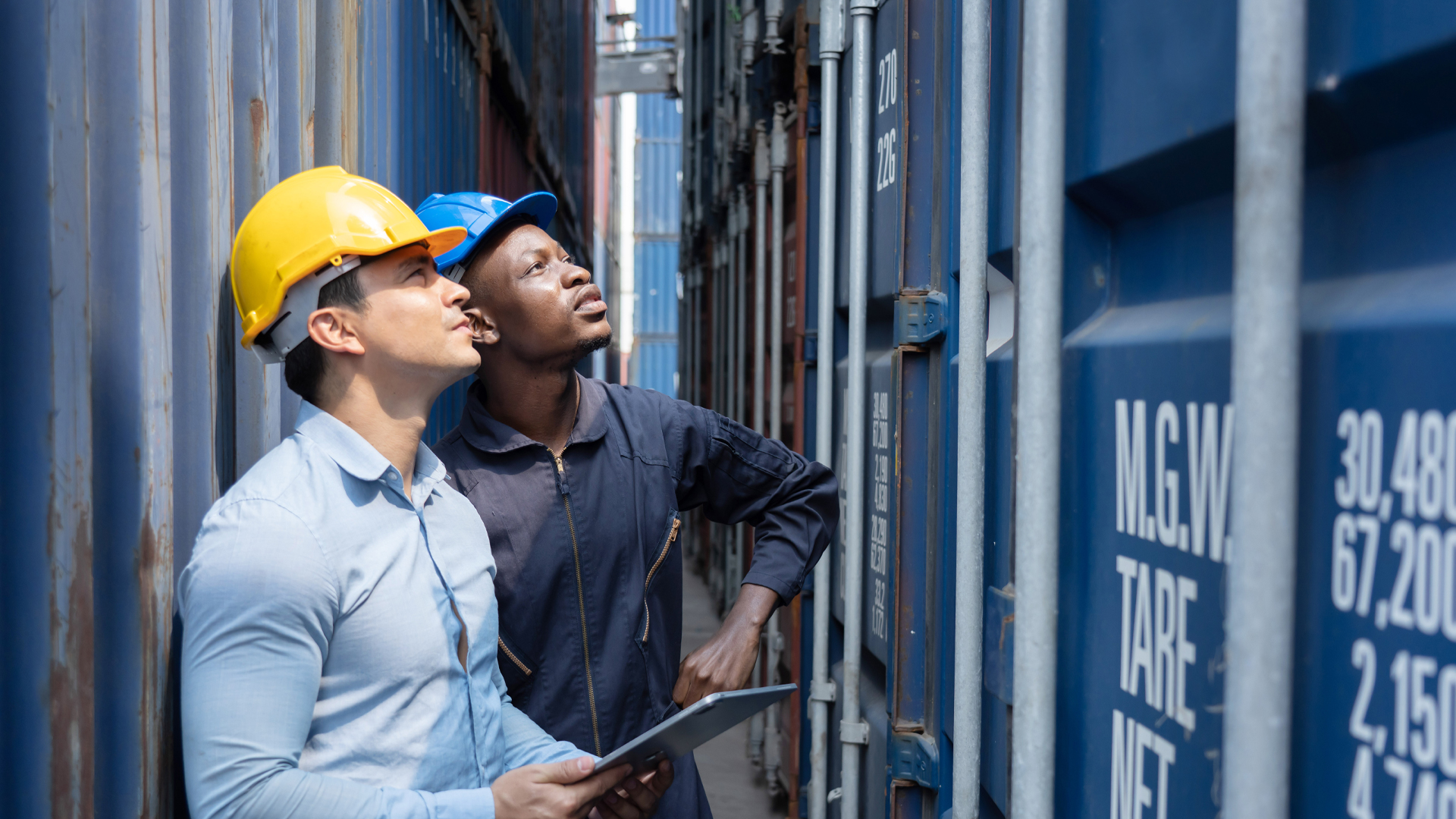 Caucasian Inspectors Inspecting the Containers at the Port Image