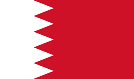 Bahrain flag vector image