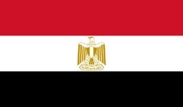 Egypt flag vector image