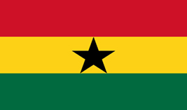 Ghana flag vector image