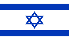 Israel flag vector image