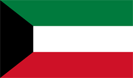 Kuwait flag vector image