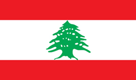 Lebanon flag vector image