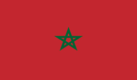 Morocco flag vector image