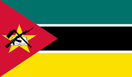 Mozambique flag vector image