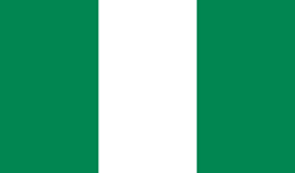 Nigeria flag vector image