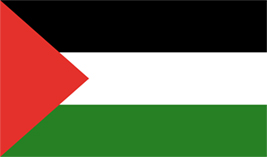 Palestine flag vector image