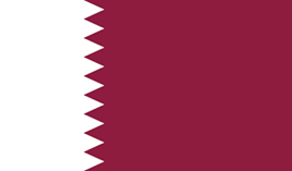 Qatar flag vector image