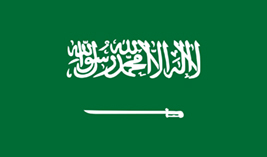 Saudi Arabia flag vector image