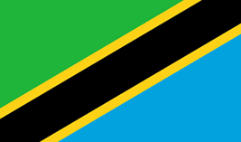 Tanzania flag vector image