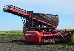 Amity Technology Sugar Beet Harvester