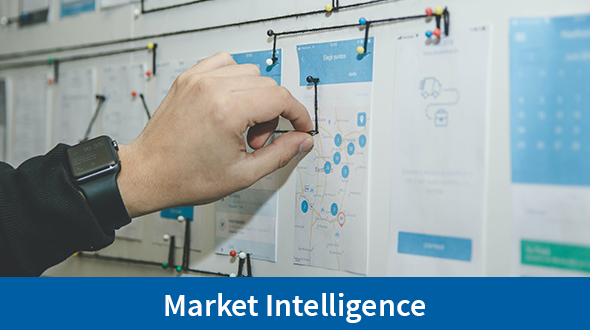 Market Intelligence Heading, Handing working on graph 