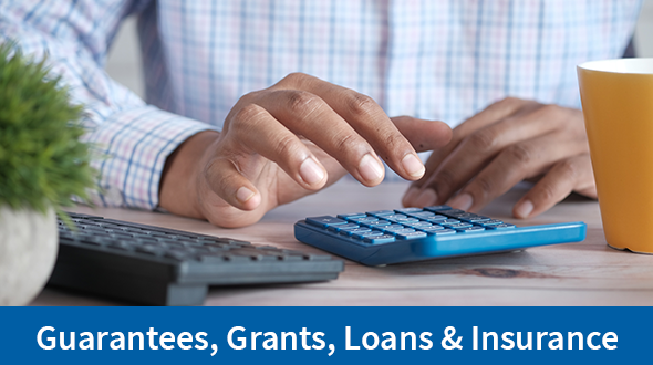 Guarantees, grants, loans and insurance section header, man using calculator