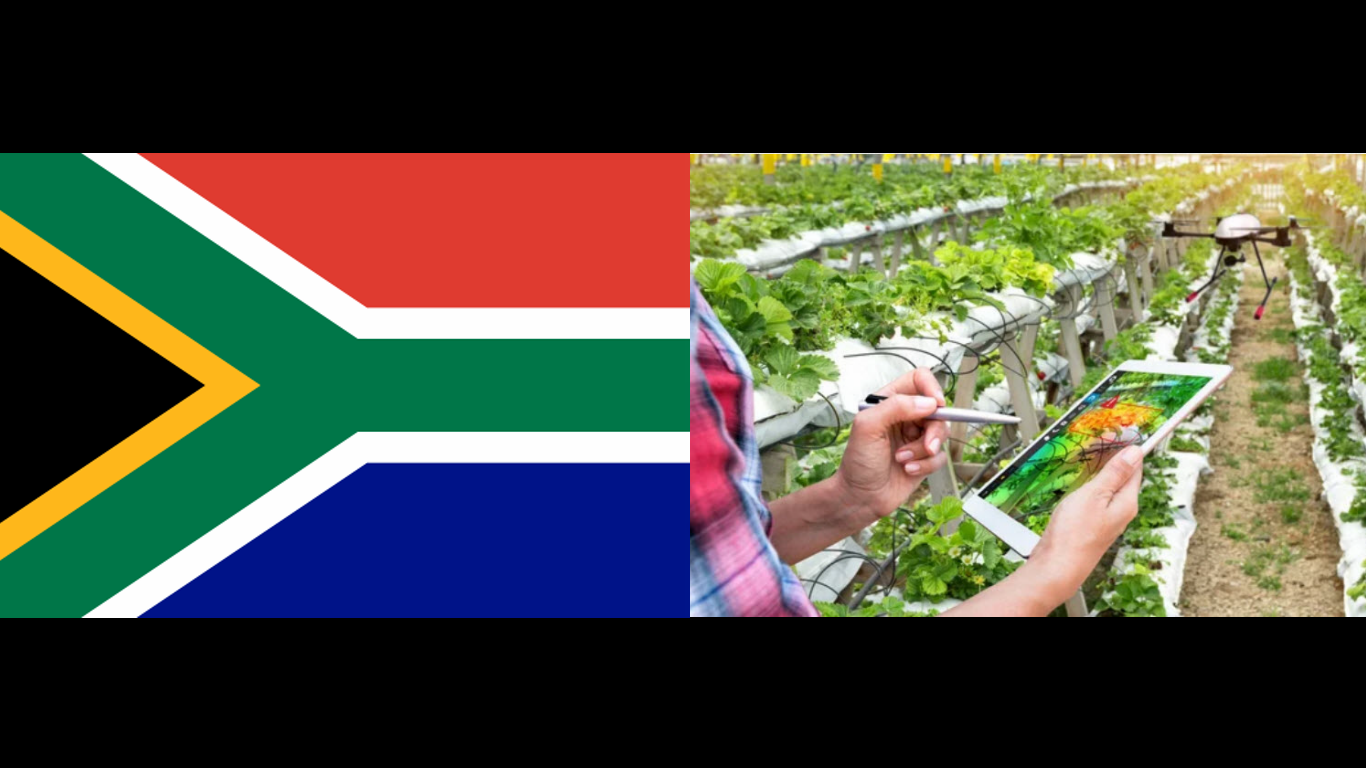 South Africa Flag and Agribusiness