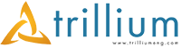Trillium Engineering Logo - 200