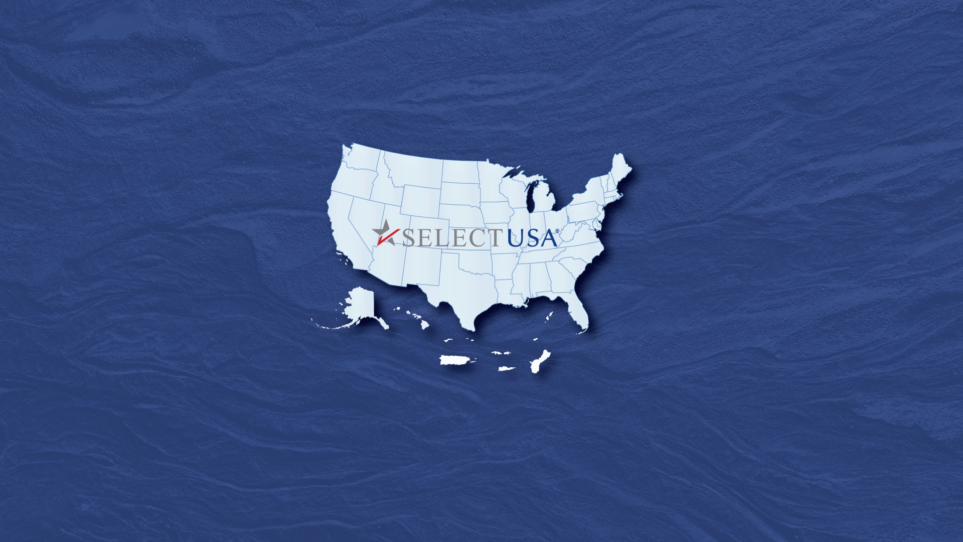 Outline of the United States with the SelectUSA Logo in the center.