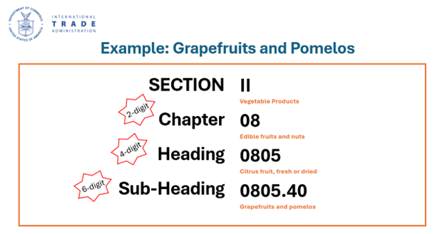 An image of HS codes for grapefruits and pomelos