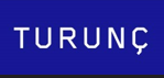 Turkiye BSP - Turunc, PLLC. Logo