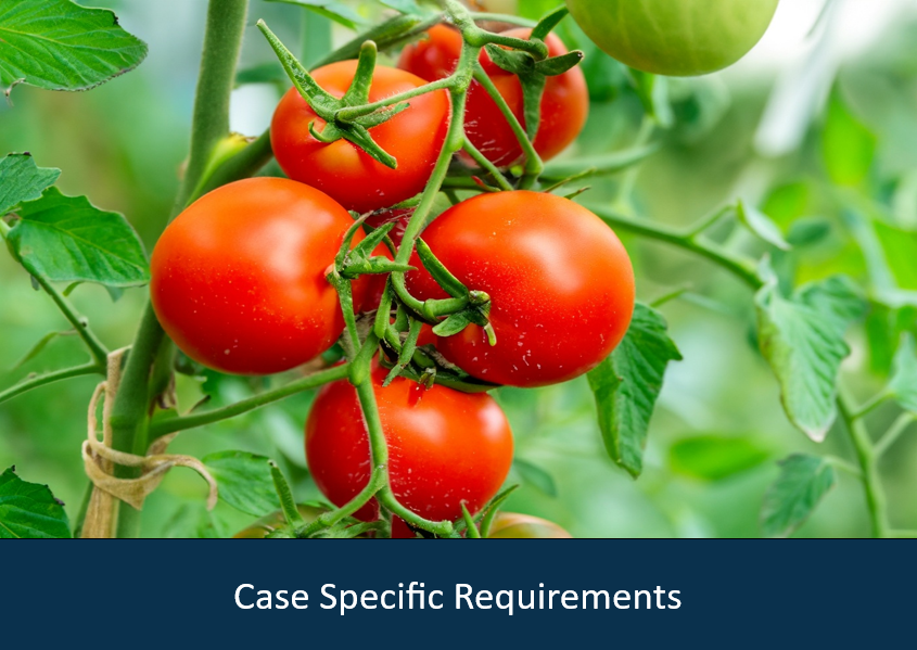 picture of red tomatoes on green backdrop with a blue ribbon underneath that says "case specific requirements" 