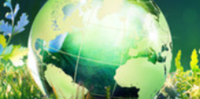 an image of a green globe