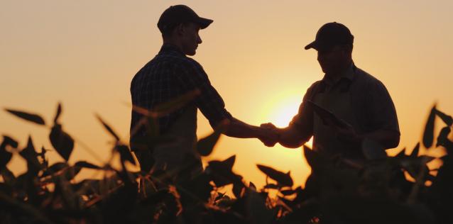 Handshake Silhouette