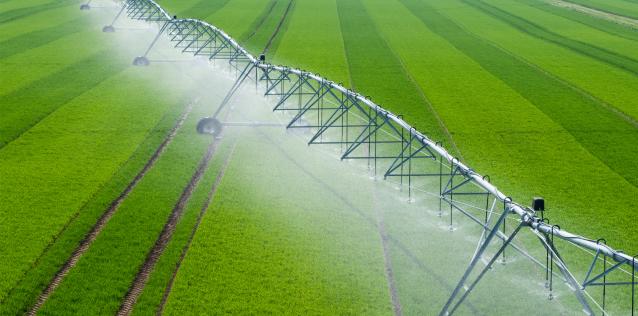 Green field with watering technology
