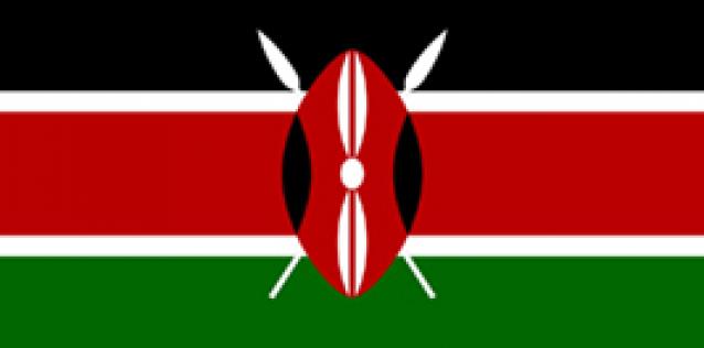 Kenya flag vector image
