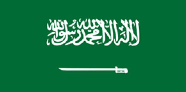 Saudi Arabia flag vector image