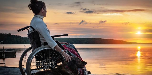 Woman traveling in wheelchair with dog watching the sunset across the water during late fall