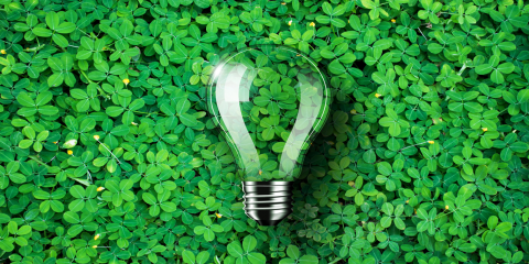 Light bulb on green leaves background 