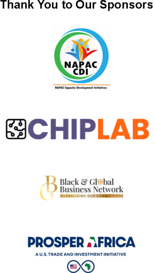 GDEI Mission to Africa Sponsors, Including NAPAC CDI, Chiplab, and Black and Global Business Network