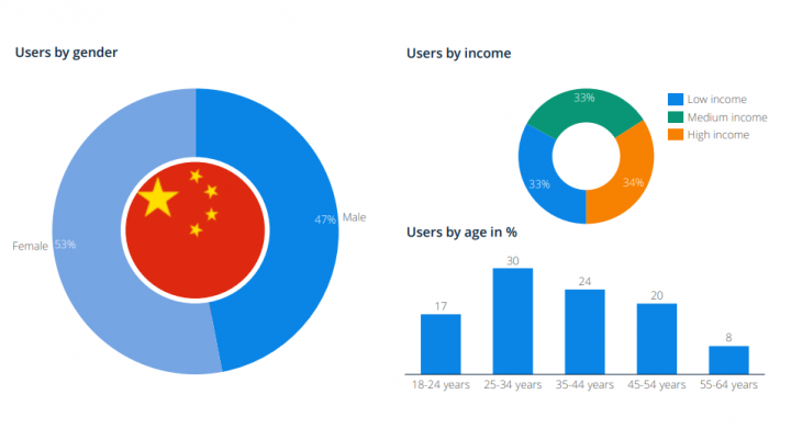 Chinese Shopper Demographics Indicate 34% Belong to High Income Group
