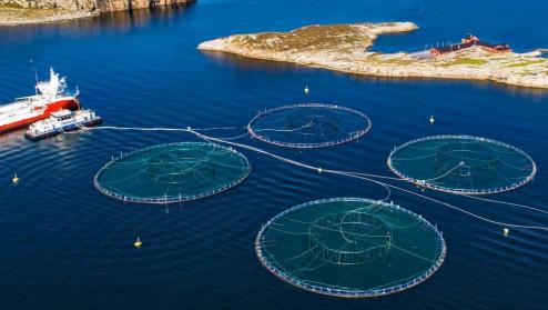 Aquaculture