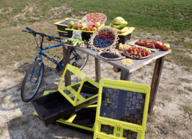Image of solar power food dehydrator