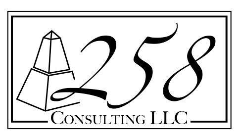 258 Consulting Logo